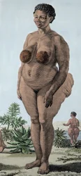 The Hottentot Venus, woman of breed Bochiman; engraving of 1815.