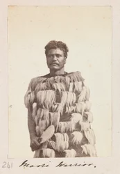 Maori Warrior, c.1876