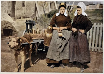 Milk merchants and dog cart from Antwerp, late 19th century