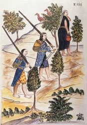 Motilones Indians going to hunt, from the book "Trujillo del Peru" or "Codex Martínez Compañón", by Baltazar Martinez Compañón y Bujanda, bishop of Trujillo (1782-1785)