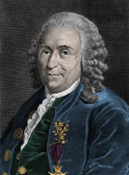 Portrait of Charles Linne (Carl von Linne, Linneus 1707-1778), Swedish Naturalist