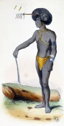 Portrait of a Papua, people of New Guinea.