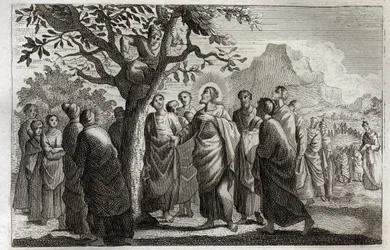 Royaumont Bible, New Testament: Conversion of Zacchaeus. Jesus Christ speaking with Zacchaeus perched on the sycamore. Illustration from 1811.