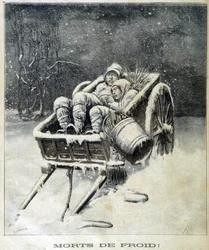 Small Chimney in the Vicinity of Fougères Dead from Frost - in “Le Petity Journal”