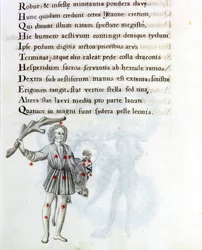 The Constellation of Bouvier (or Boots), Supporting the Hair of Berenices (18th Century Manuscript)