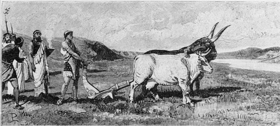 The Foundation of Rome (19th Century Engraving)