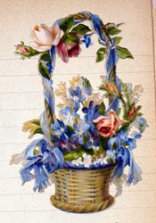 Unknown Image