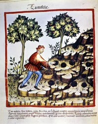 Unknown Image