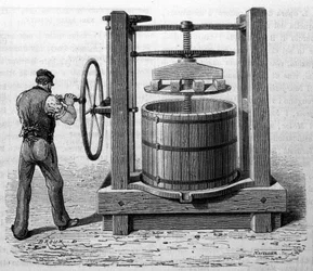 Use of the press to obtain grape marc in Medoc and Cognac. Engraving from the end of the 19th century