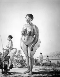 Venus Hottentote of South Africa