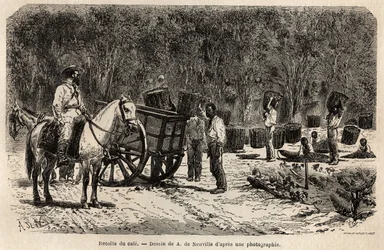 When the coffee is collected, the men collect and transport the heavy baskets filled with coffee beans, while the children clean the pulp that surrounds the coffee beans. Engraving to illustrate the voyage to Brazil, story by M. and Mme Agassiz, in 1865-18