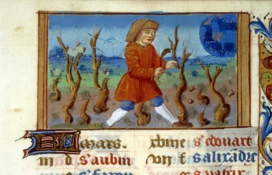 Zodiac Aries and tree size - Miniature of the Middle Ages