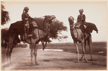Camel Sowars at the Delhi Camp of Exercise