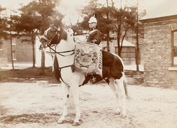 Drum-Horse, 3rd Prince of Wales