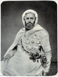 Portrait of Abd-el-Kader in 1875 - Photograph