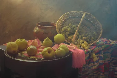 Autumn Fruit Harvest