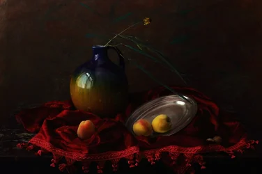 Dark Velvet Still Life