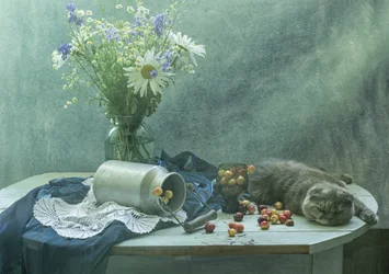 Sleeping Cat and Cherries