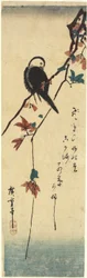 Bird on Maple Branch