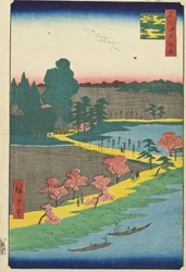 Azuma Shrine and the Entwined Camphor