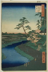 Basho