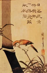 Bird and bamboo