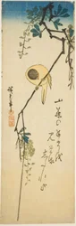 Bird on Silky Wisteria