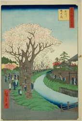 Blossoms on the Tama River Embankment, from the series 