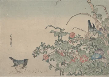 Bluebirds with Morning Glories and Lespedeza
