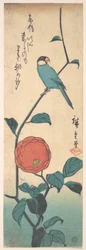 Camellia and Finch