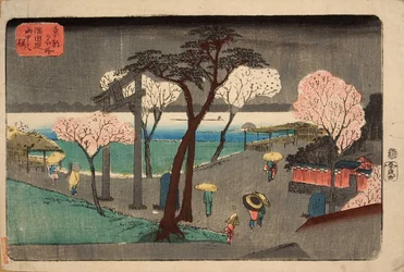 Cherry Trees in Rain on the Sumida River Embankment