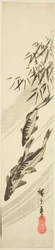 Fish in a Stream