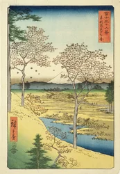 Fuji from Yuhi-Ga, Megwo, No.10 from the Series 