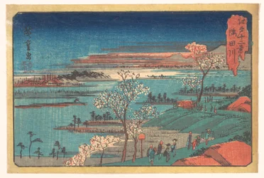 Flowers of Gotenyama
