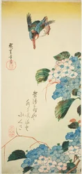 Kingfisher and Hydrangea
