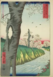 Koganei in Musashi Province, from the series 