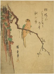 Macaw on Ivy-covered Tree