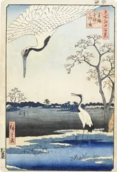 Minowa, Kanasugi, and Mikawa Island