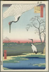 Minowa, Kanasugi, and Mikawashima