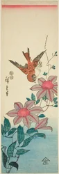 Sparrow and Clematis