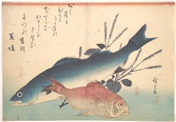 Suzuki and Kinmedai Fish from the Series Uozukushi (Every Variety of Fish)
