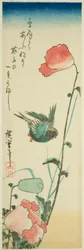 Swallow and Poppies