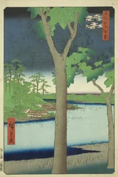 The Paulownia Grove at Akasaka, from the series 