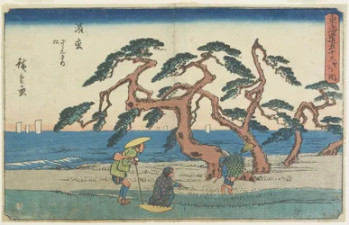 The Pine Field in Hamamatsu