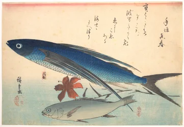 Tobiuo and Ishimochi Fish, from the series Uozukushi (Every Variety of Fish)