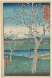 View of Mount Fuji from Koshigaya, Province of Musashi (Musashi, Koshigaya Zai), from the series Thirty-six Views of Mount Fuji (Fugaku sanjūrokkei)