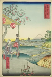 View of Mount Fuji from a Teahouse at Zoshigaya, from the series "Thirty-six Views of Mount Fuji"