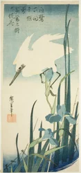 White Heron and Iris