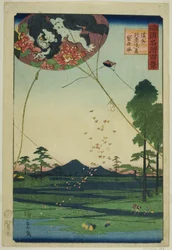 Kites of Fukuroi and Distant View of Akiba in Totomi Province, from the series 