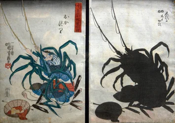 Angler; Lobster and Ark Shell (Okazuri / Ebi ni akagai). Series Witty Shadow Pictures (Sono omokage hodo utsuhie), c.1848